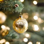 Holiday Light Tours in New York