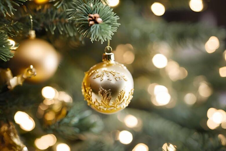 Holiday Light Tours in New York